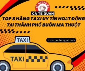 Top 8 Hãng Taxi Uy Tín Hoạt Động Tại Thành Phố Buôn Ma Thuột